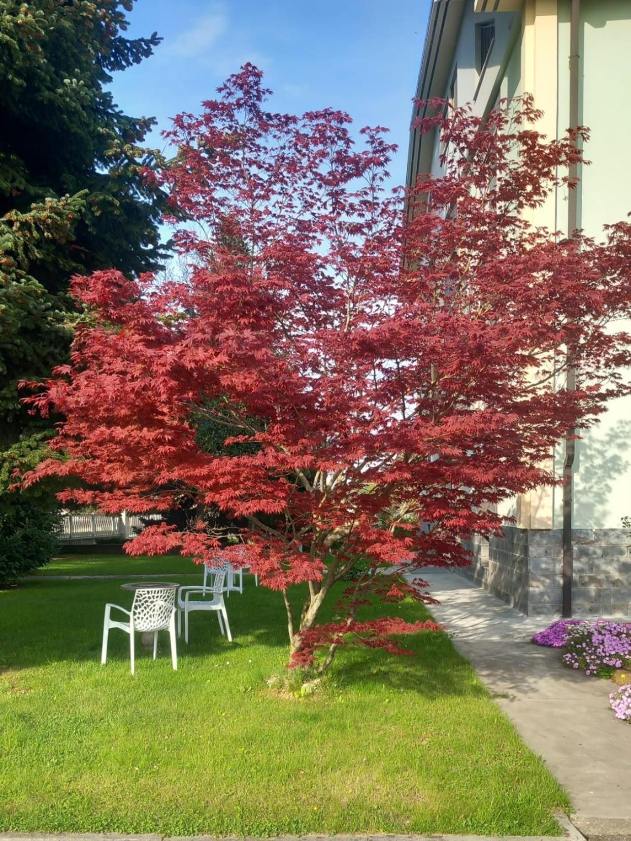 B&B Il Castagno Roccavione 외부 사진